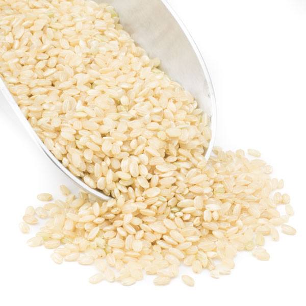 Short Brown Rice 25 lbs. Bulk Nuts 4 You