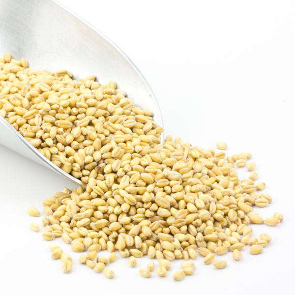 Organic Soft White Wheat Berries 5 lbs. Bulk Nuts 4 You