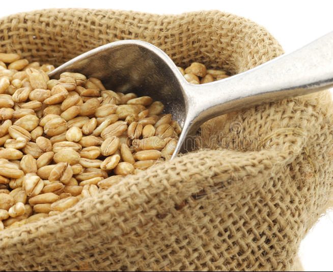 Bulk Farro Bulk Nuts 4 You