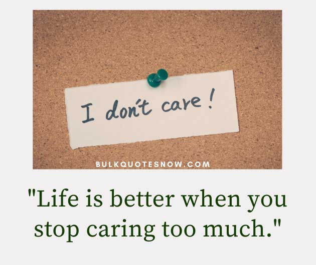 25 I Dont Care Quotes For You In 2020 Bulk Quotes Now