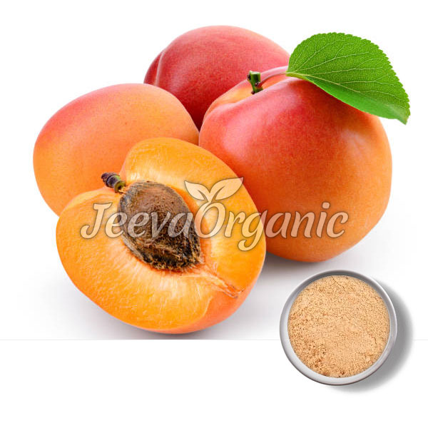 Organic Apricots Powder Supplier Bulk Apricots Powder Supplier