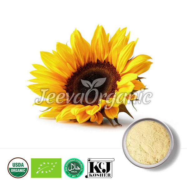 Organic Sunflower Powder Supplier Bulk Organic Sunflower Supplier