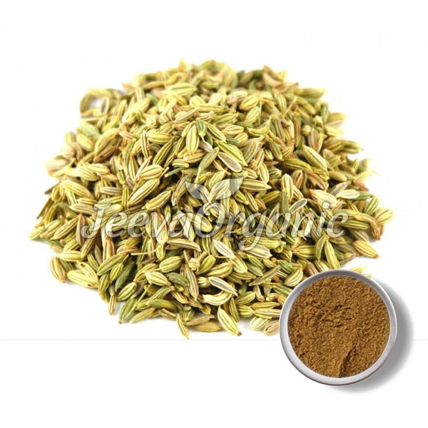 Fennel Seed Extract Powder Supplier Bulk Fennel Seed Extract Powder