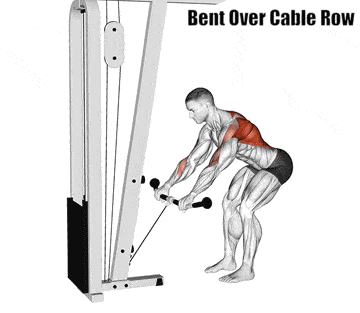 Bent Over Cable Row - How To Do Them Properly!