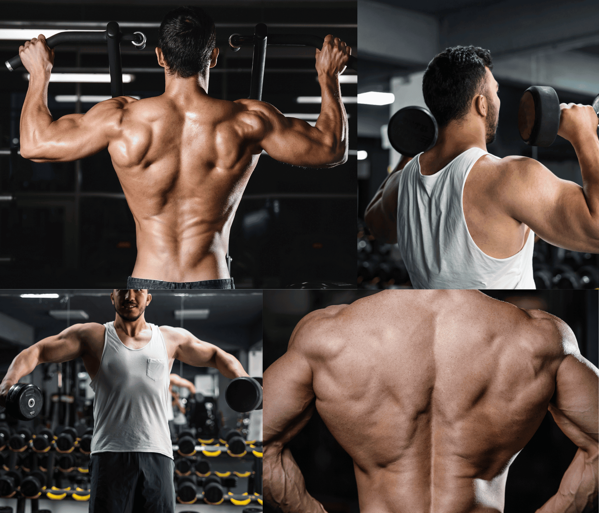 Master the Art of Back and Shoulders Workout Maximize Your Gains