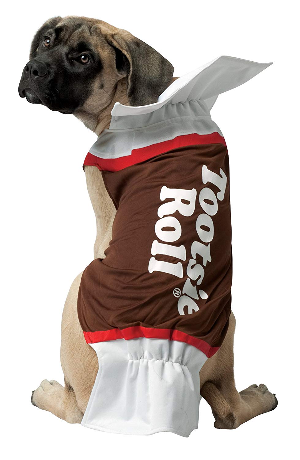 15 Super Fun Halloween Bulldog Costumes