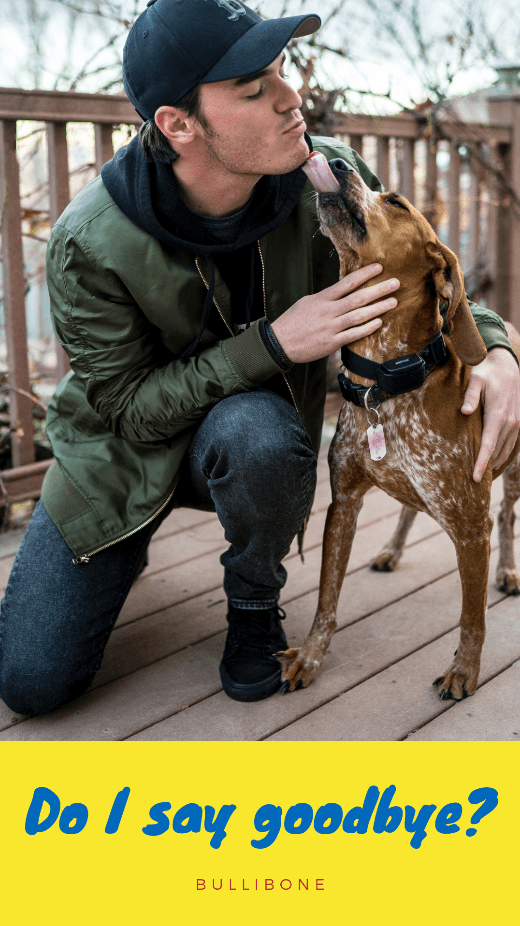 Should you say goodbye to your dog when you leave? BulliBone