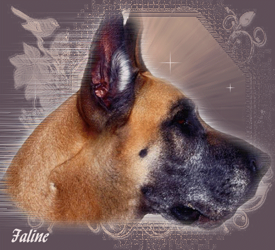 CHIENS GIFS ANIMES Page 87