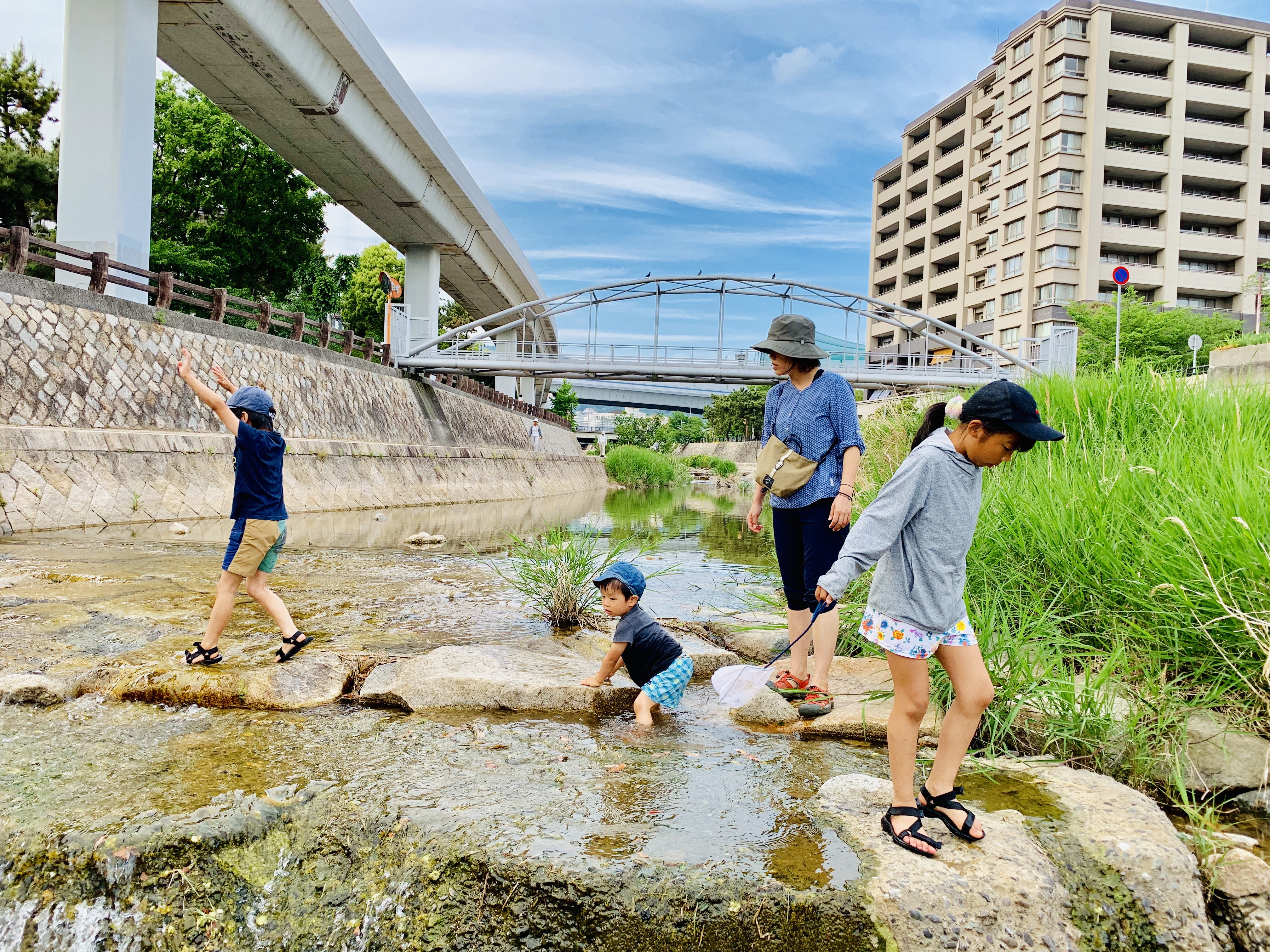 住吉川（兵庫県神戸市）はカニ取りもできる自然豊かな川。 とーるブログ