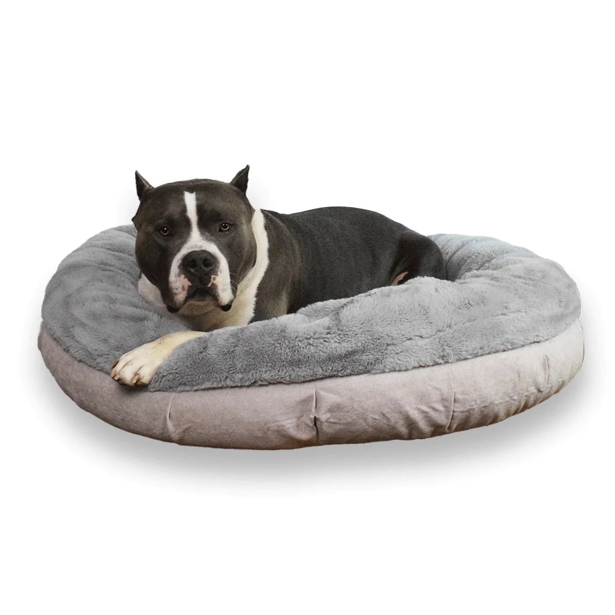 Extra Large Dog Beds Clearance Beds On Sales Bully Beds
