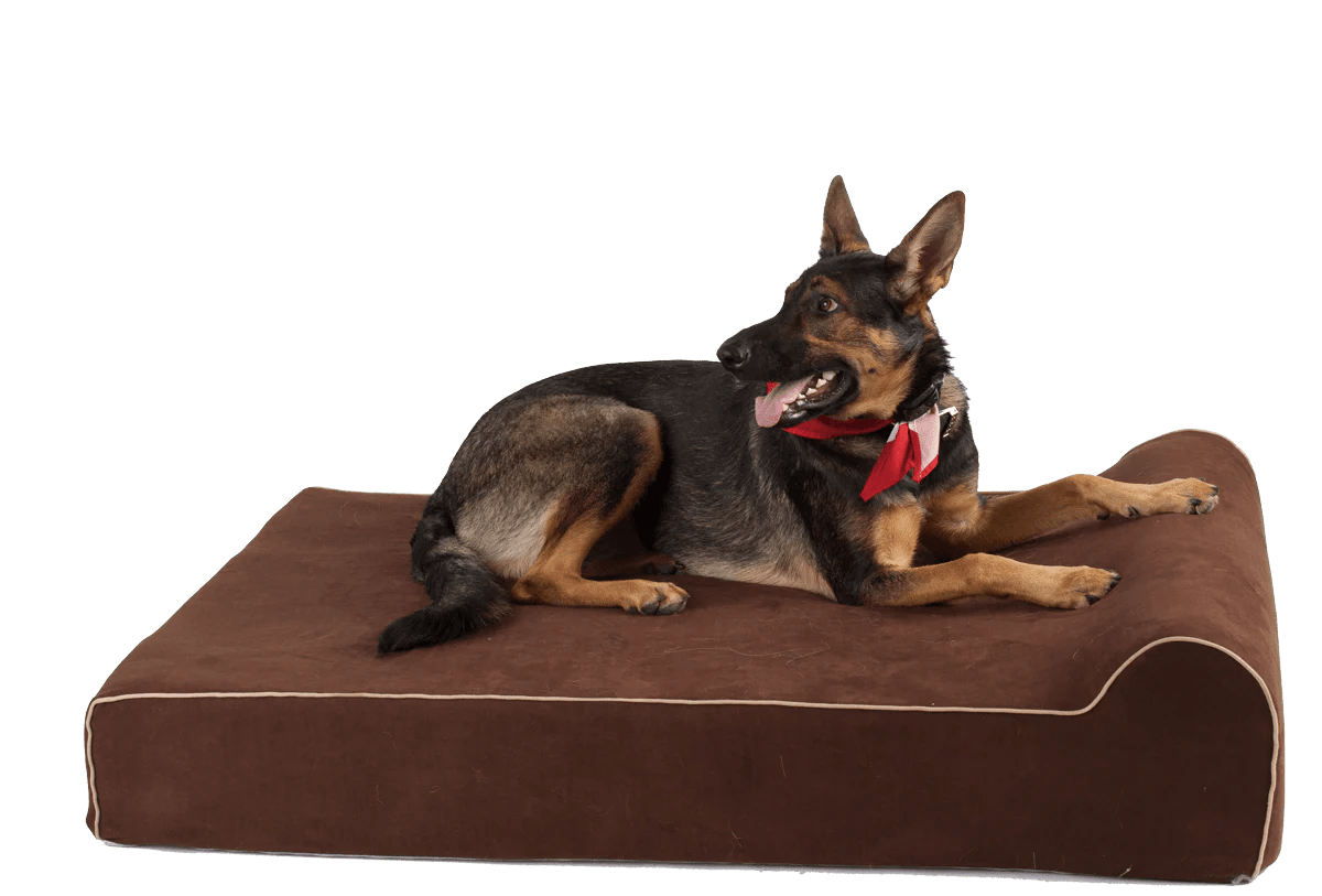 Infrared Bed Cover Bully Beds