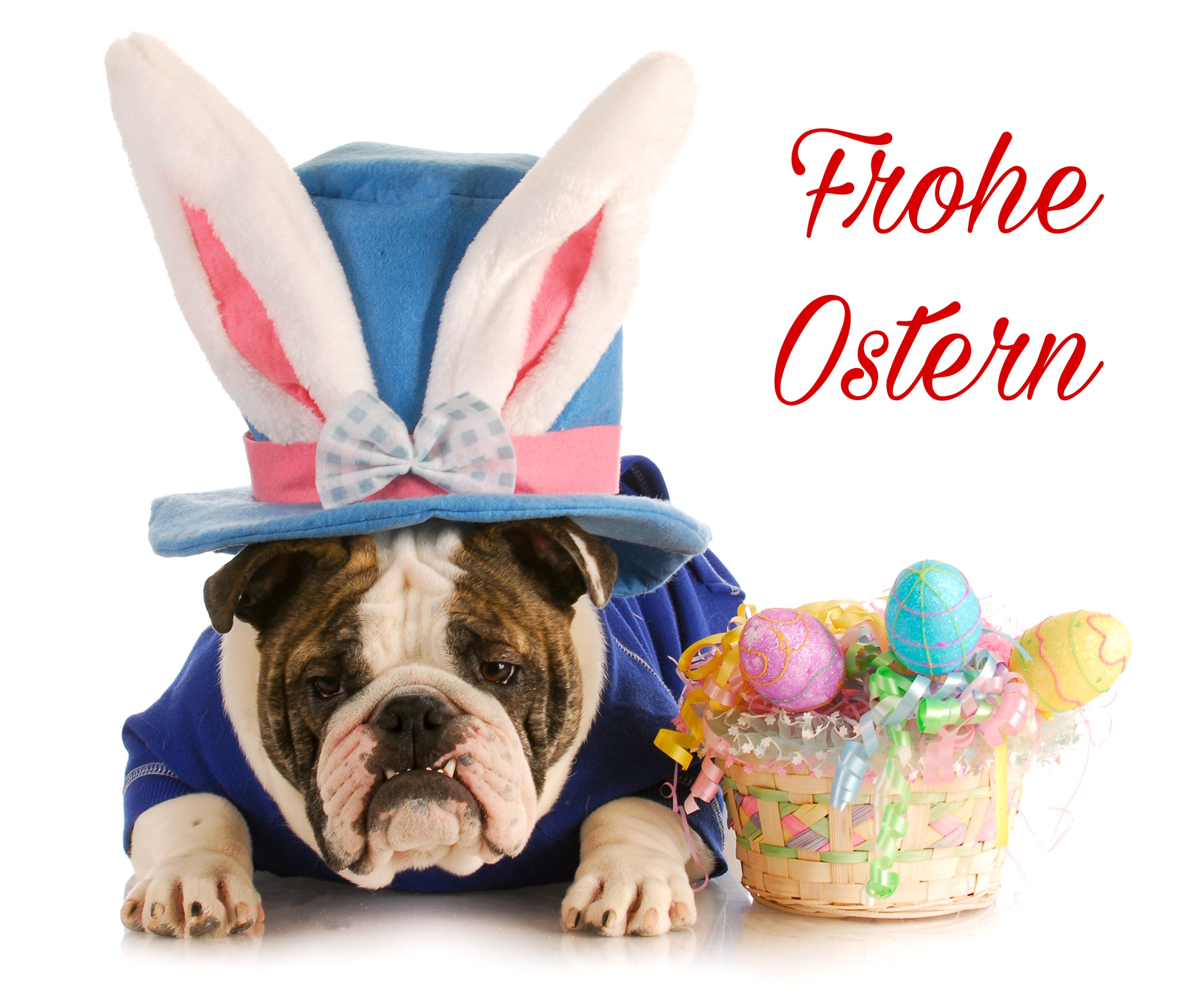 Bully’s wünscht Frohe Ostern