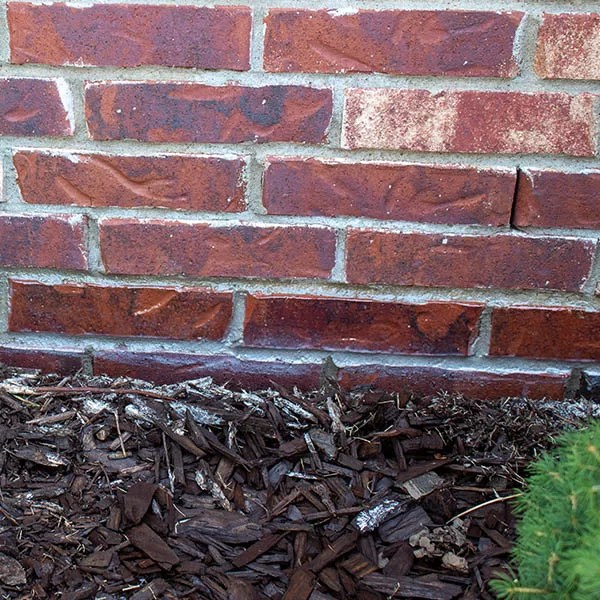 Slick Barrier The Innovative Pest Control Solution From Bulwark