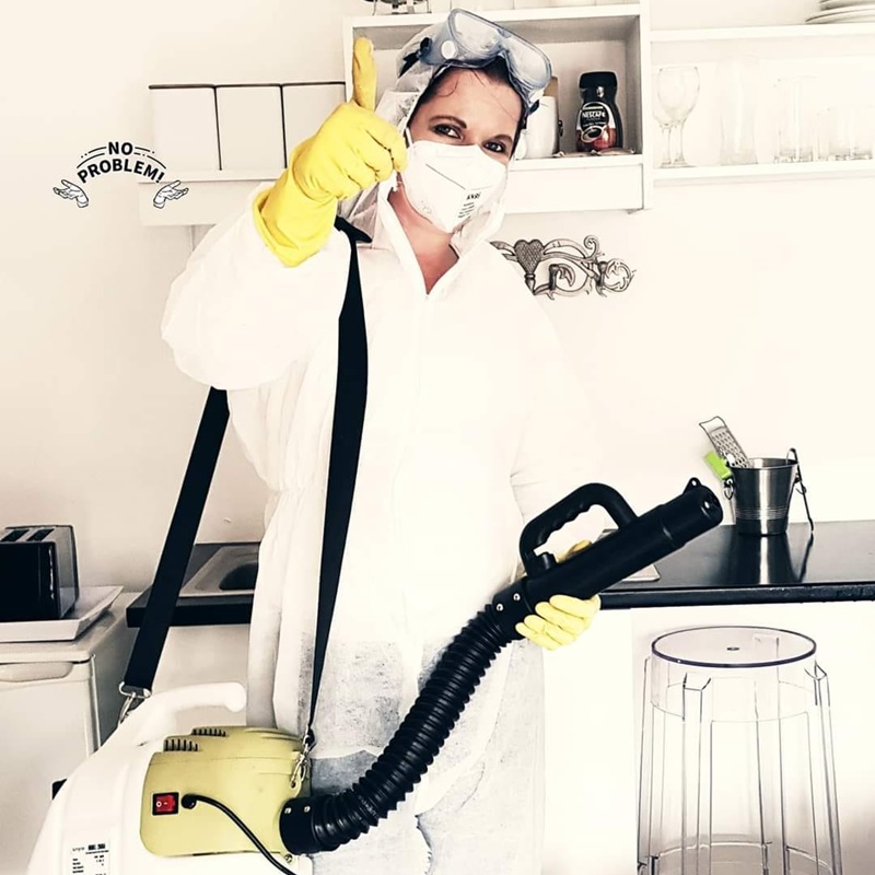 Bumble Bee Cleaning Bumble Bee Cleaning