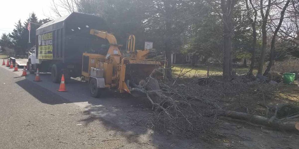 Can You Remove A Tree In Front Of Your House In Sewell NJ Certified