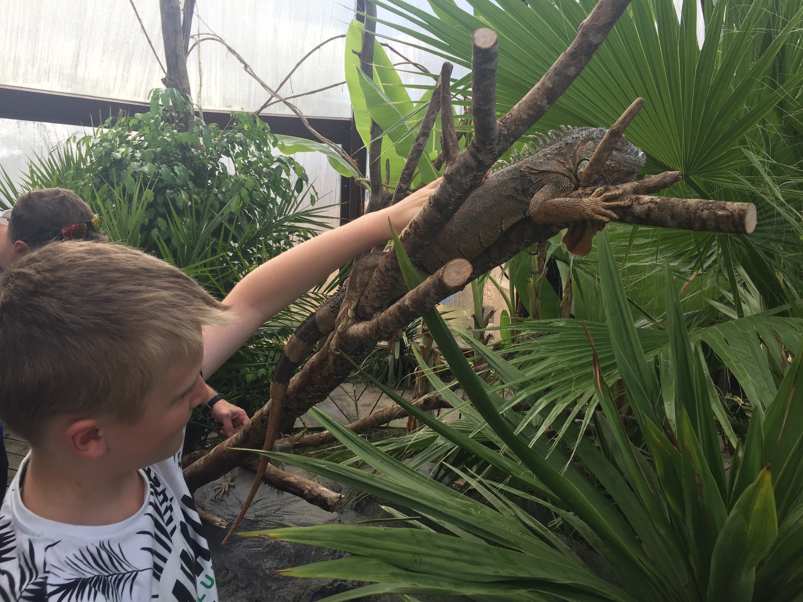 A Visit to the National Reptile Zoo, Gowran, Co. Kilkenny