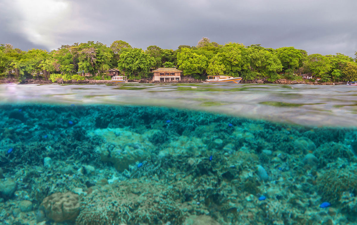 Resort Bunaken Divers Manado