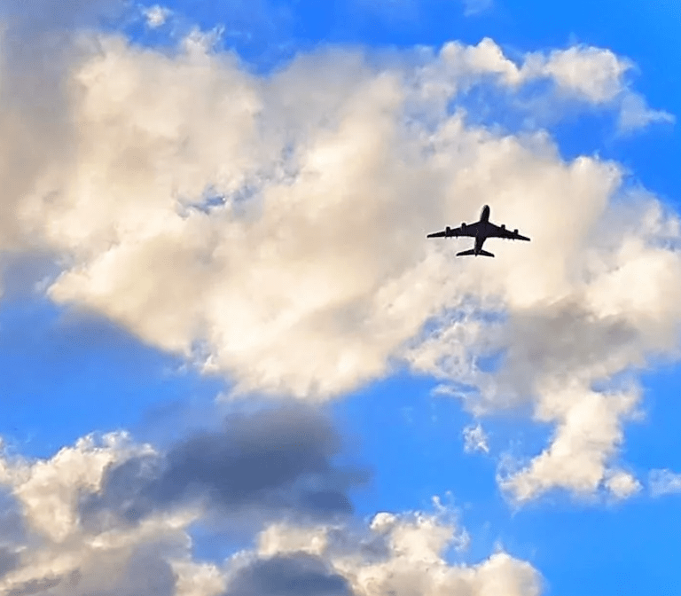 Is Kayak Reliable? Is Kayak Safe to Book Flights? Bunch Of sites