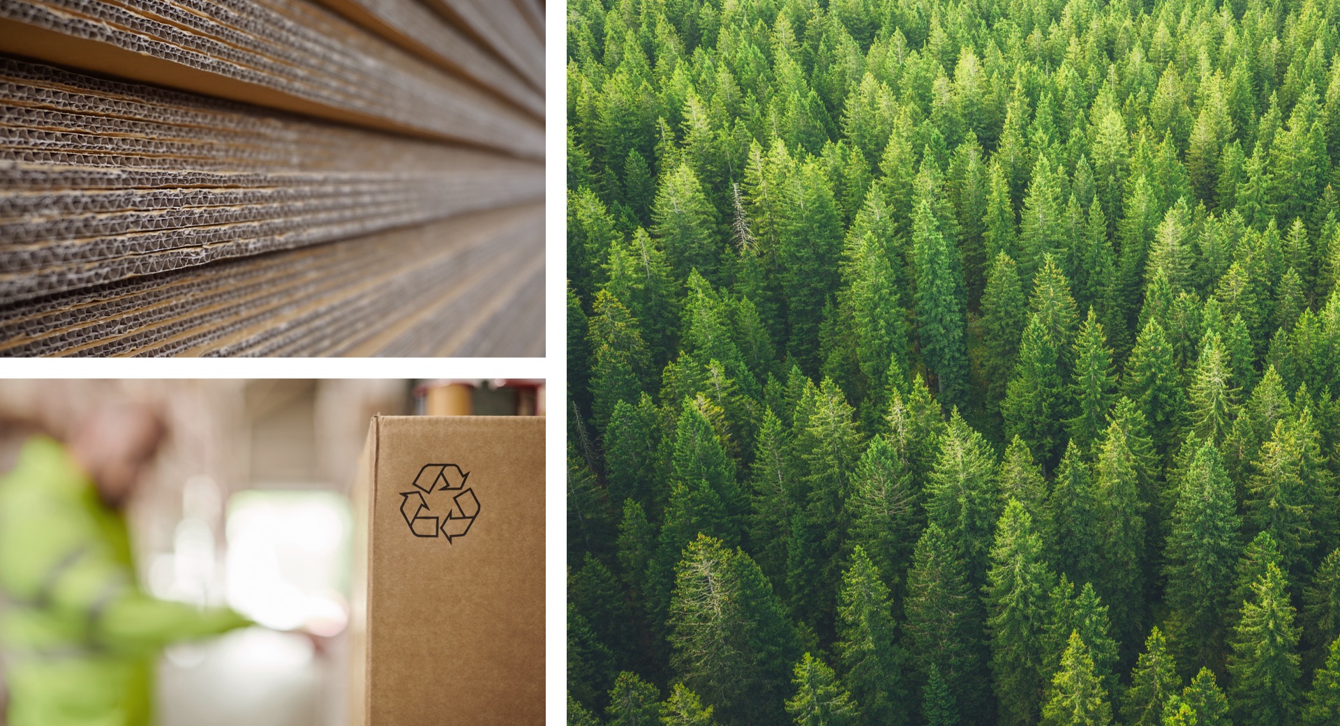 What Is Sustainable Packaging Design? Bundle Packaging