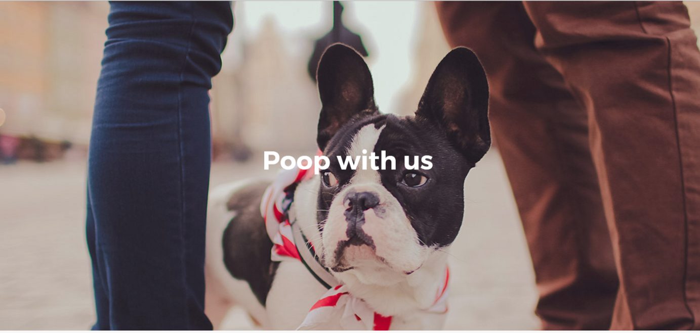 Bring to Orlando Dog poop pickerupper app, Pooper Bungalower