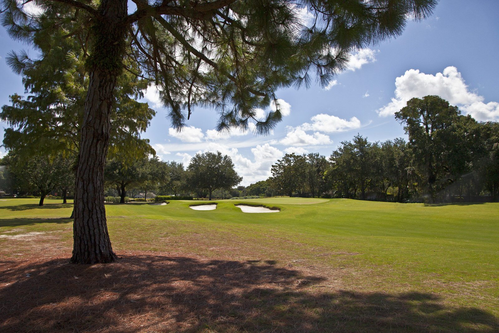 Winter Park Golf Course to celebrate grand reopening October 1