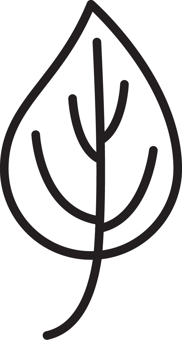 Eco Friendly Archives - Bunkr