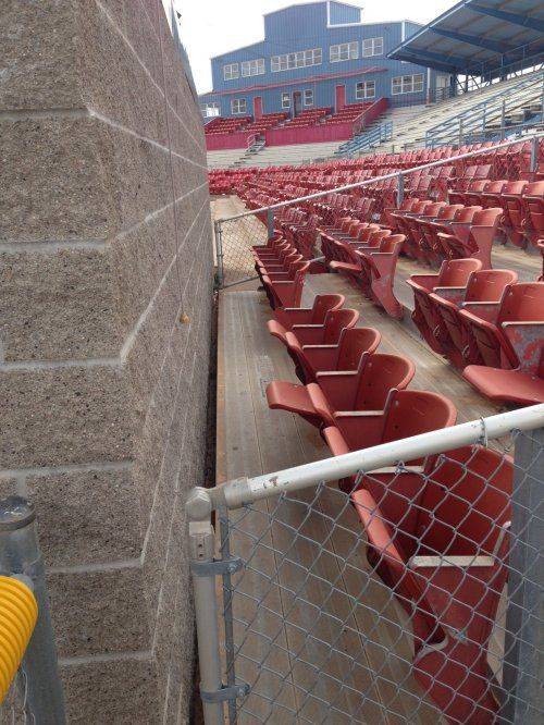 The Cheapest Cheap Seats Tacky Raccoons