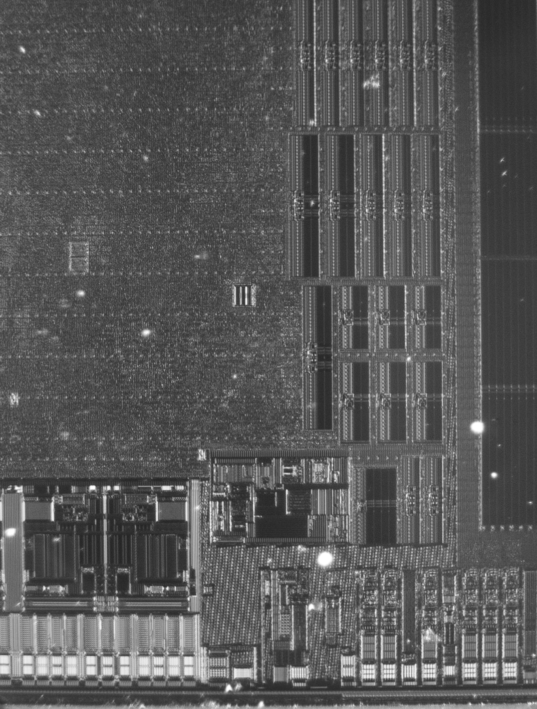 Bunni.emmi - Best photos on dibujosparaimprimir.net