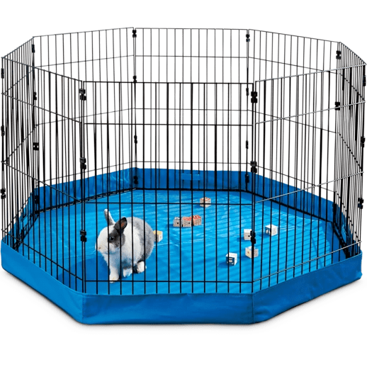 Cages and Space Rabbits as pets