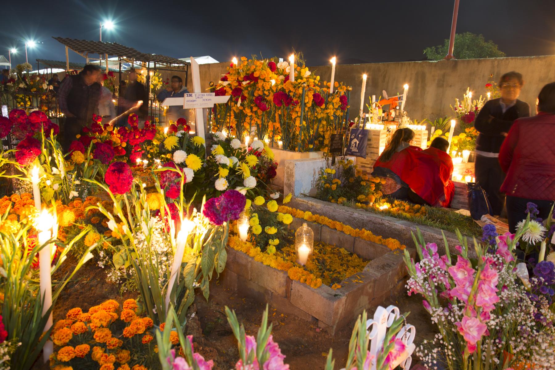 Fast Facts Mexico's 'Day of the Dead' Bunnik Tours