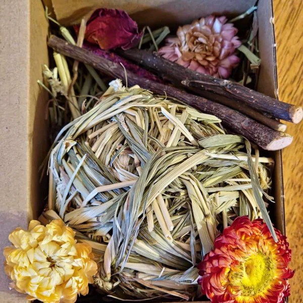 Bunns and Stuff Binky Box Bunns & Stuff