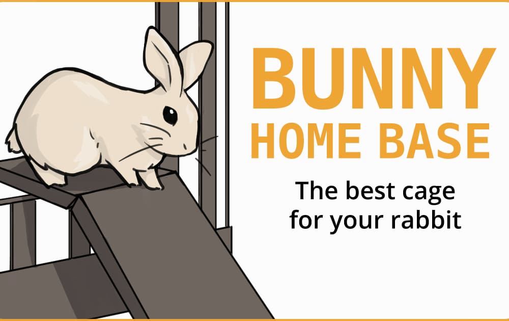 The Best Cage for House Rabbits (it's not what you expect)