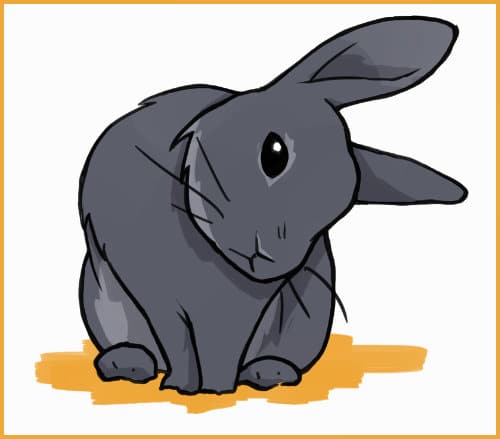 How to Treat Ear Mites in Rabbits