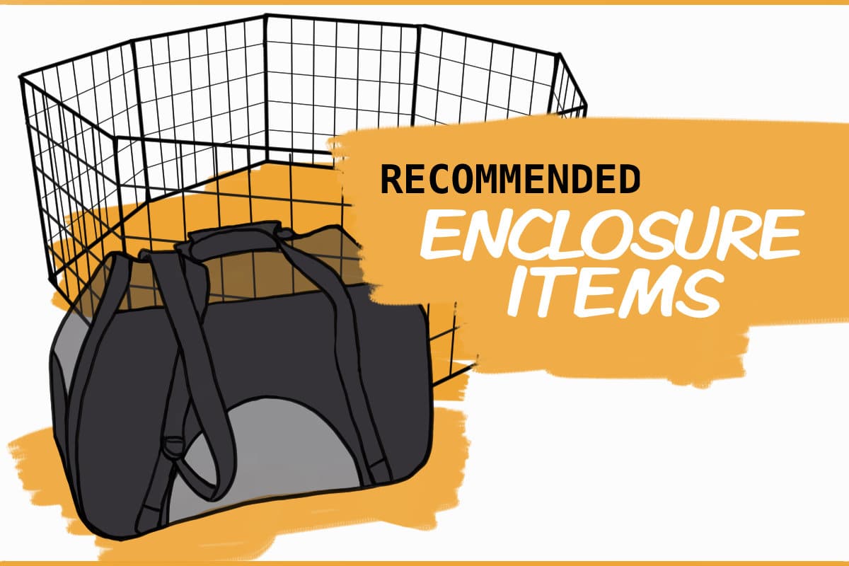 Rabbit Enclosures The Bunny Lady