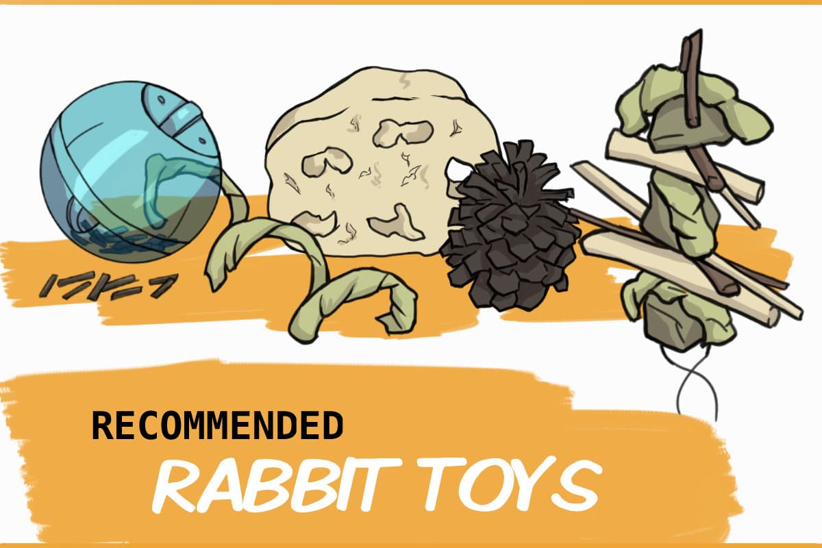 Rabbit Toys The Bunny Lady