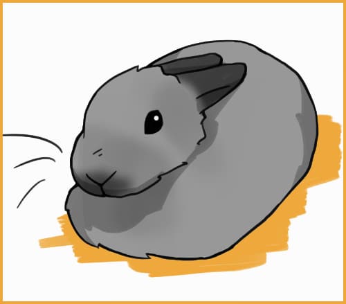 All About Rabbit Ear Positions And What They Mean