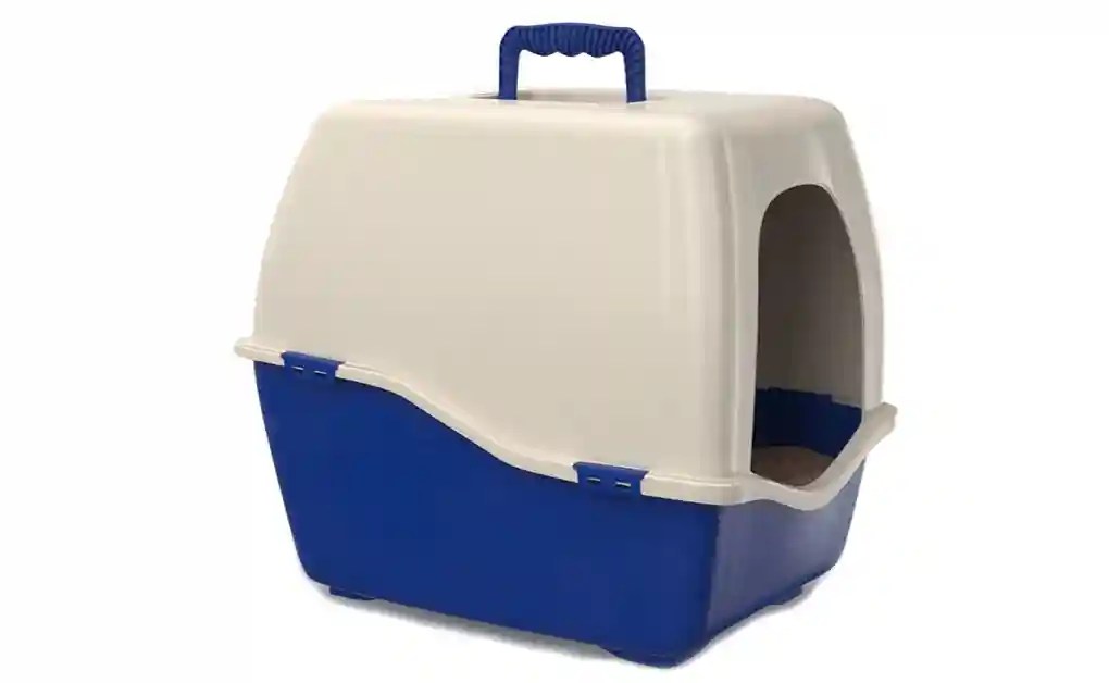 Best Rabbit Litter Boxes of 2024 Bunnyproof
