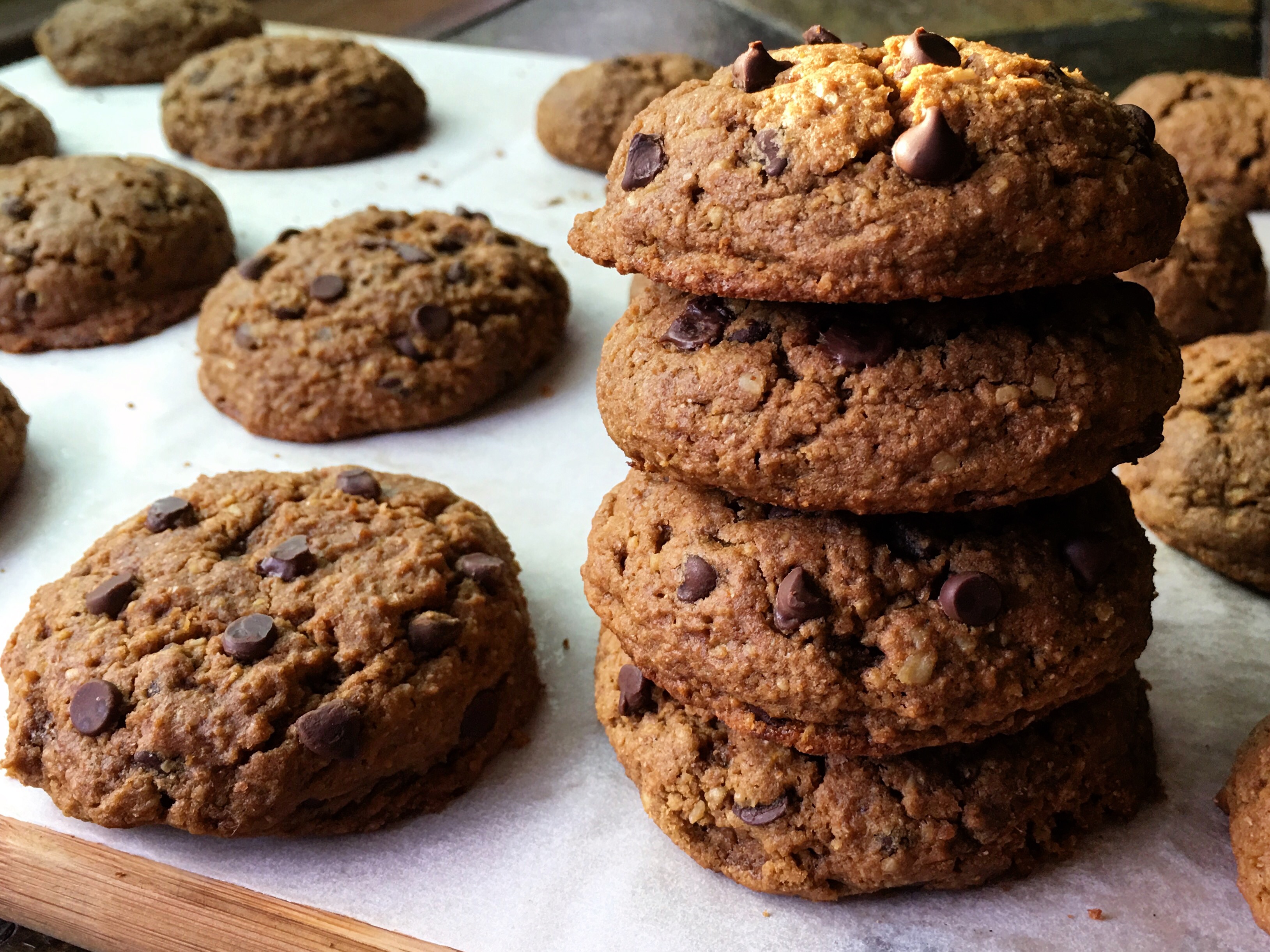 Chocolate Chip Protein Cookies (V/GF) Bunny's Bite