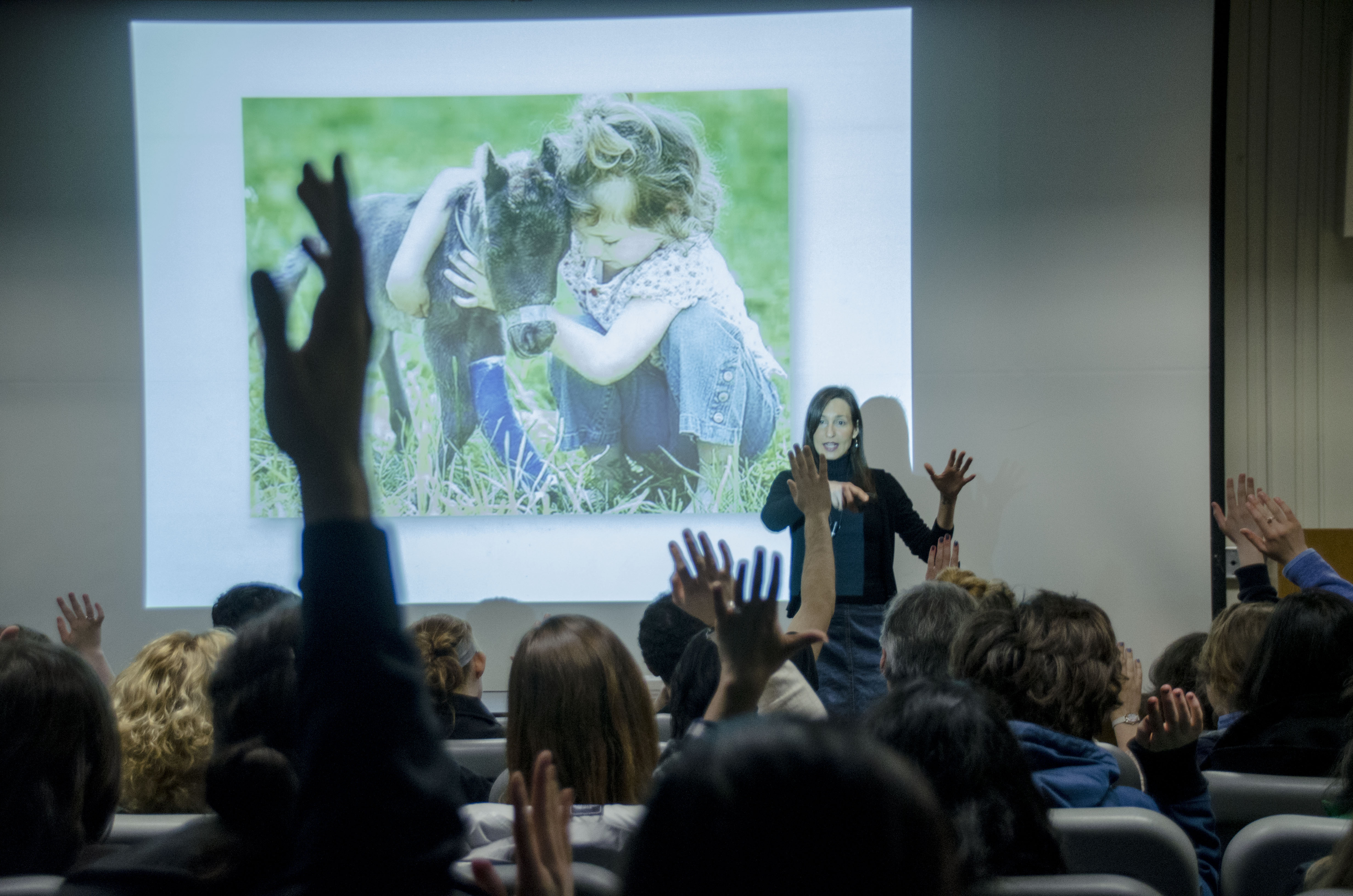 An Intro to “Carnism” Why We Love Dogs, Eat Pigs, and Wear Cows The Quad