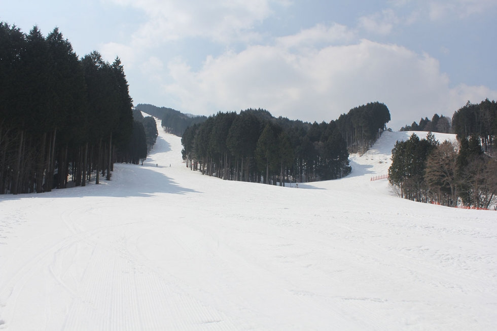 ひろしま県民の森スキー場 比婆の森 広島県観光地を応援！ ぶらねた