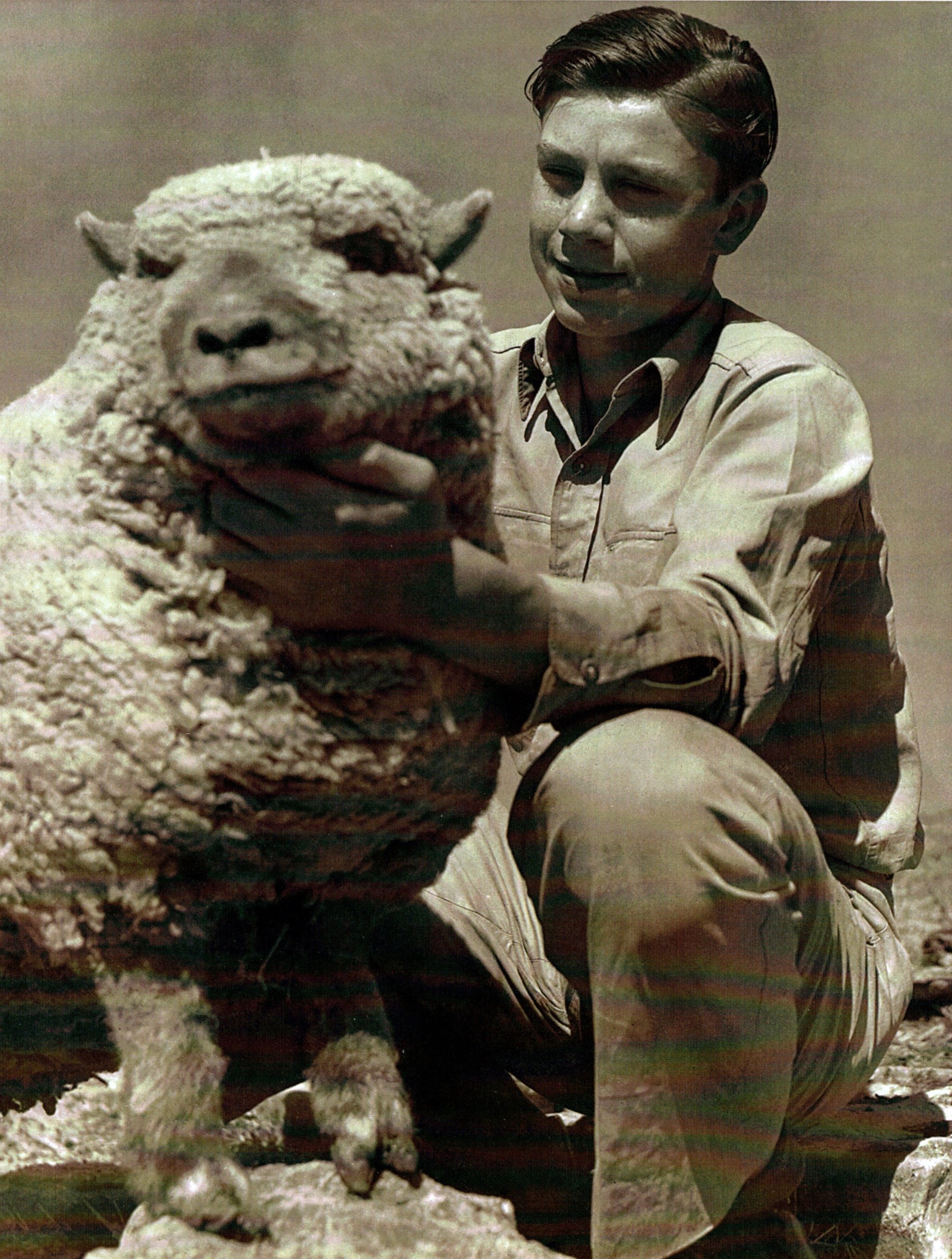 James G. Williams Burch Messier