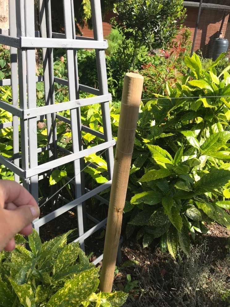 Oh, deer…. Burger Farms