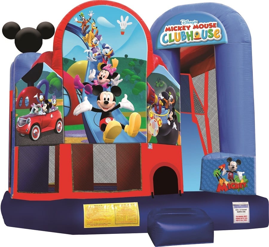 Mickey Mouse Clubhouse Slide Wonderland