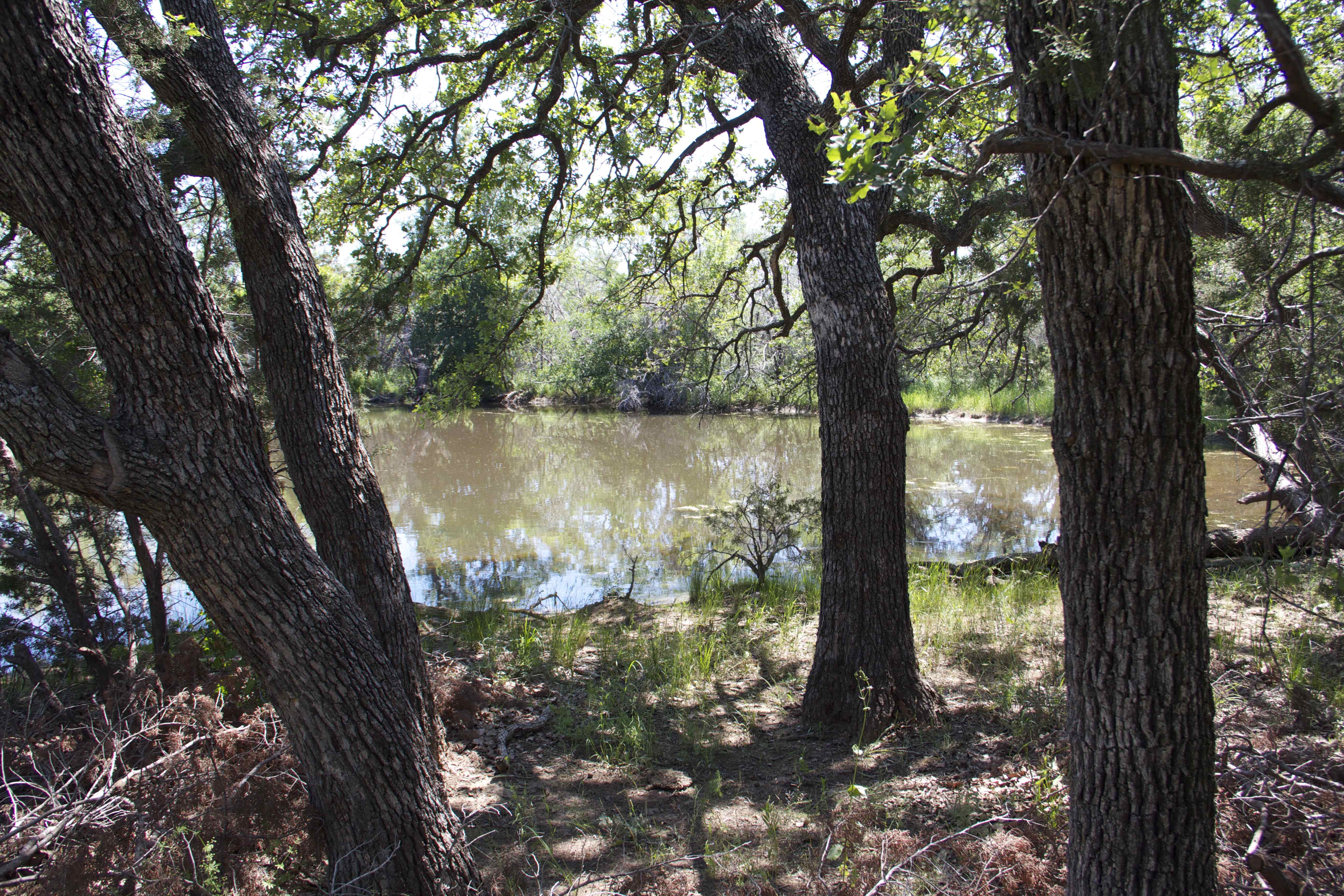 Wilson Hollow Ranch Burgher Ray Ranch Group