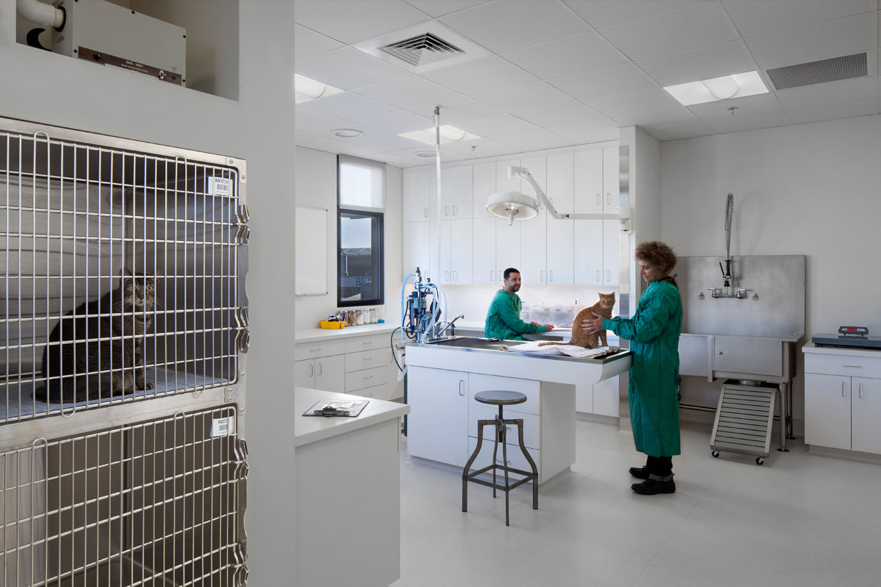 City of Berkeley Dona Spring Animal Care Services Burks Toma Architects