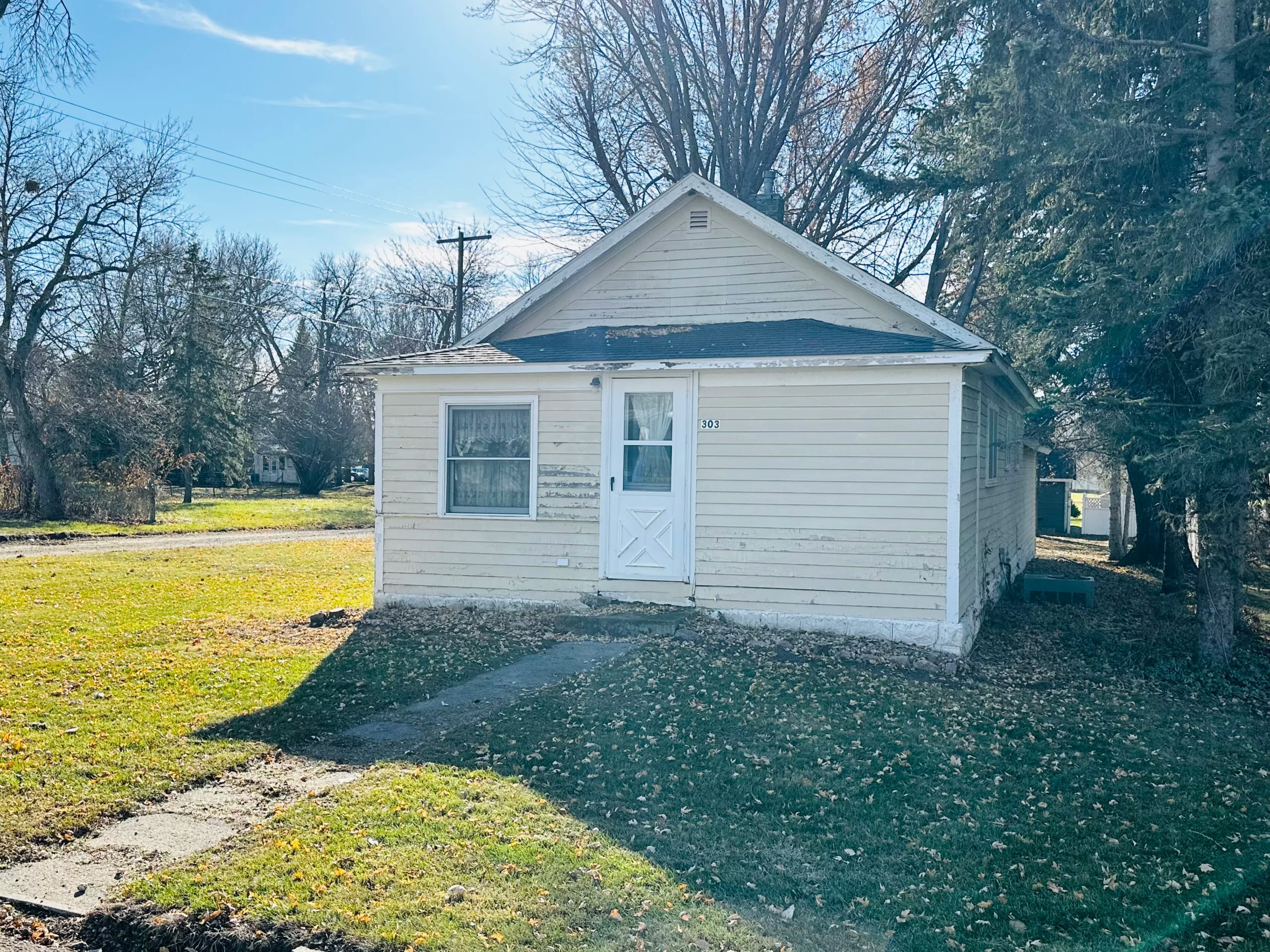 Real Estate Auction 303 3rd St. SE, DeSmet SD Burlage Peterson