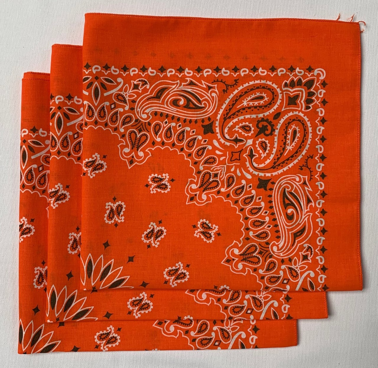 Paisley Bandanas USA Made 22 x 22 6 Pack Variety As Shown [PAISLEYUSA