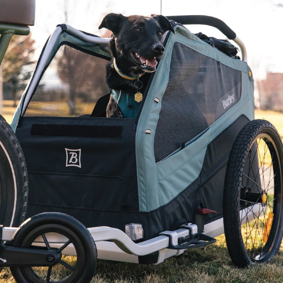 Burley | Bike Trailers & Strollers