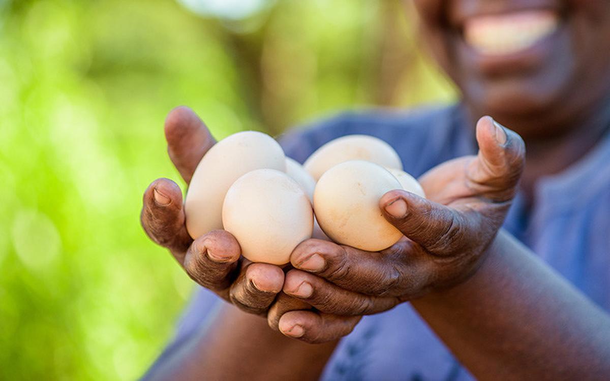 One million Eggcellent reasons to give back this Christmas