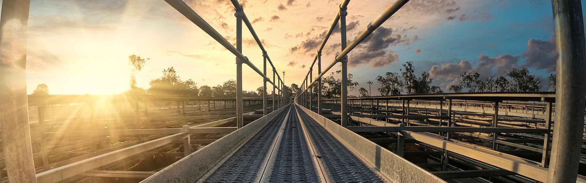 Contact Livestock & Realty